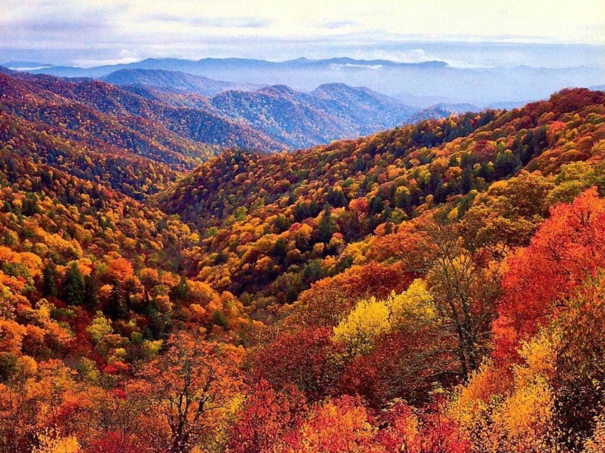 Wow Views!!-Mountain Escape-Outdoor Pool-Close To Downtown-Wifi-Cable-Private Balcony 개틀린버그 외부 사진